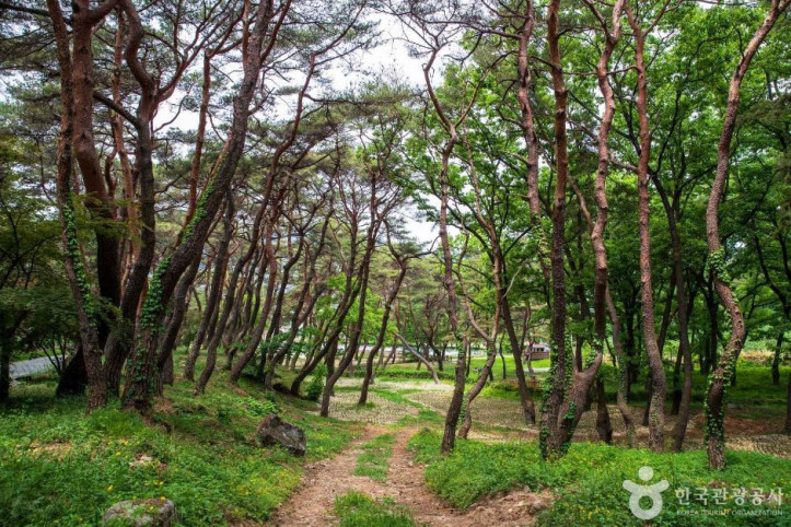 동호숲_2_공공1유형.jpg