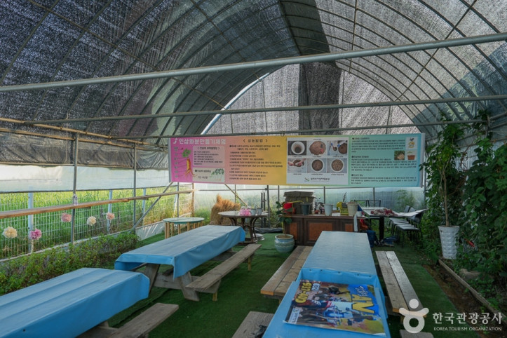 강화도_자연체험농장_5_공공3유형.jpg