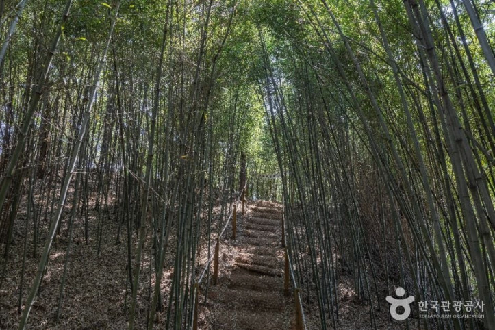 면천읍성_대숲바람길_6_공공1유형.jpg