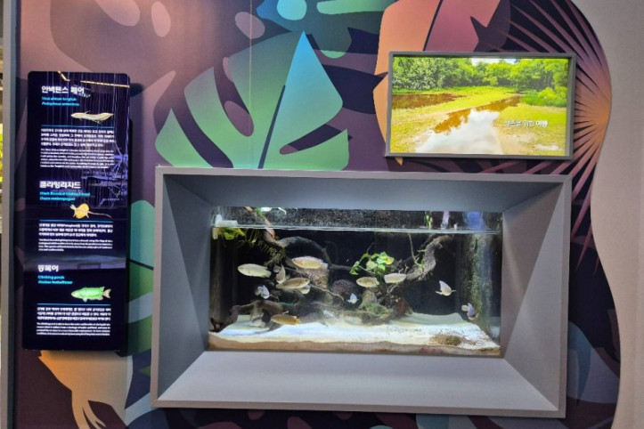 단양_다누리아쿠아리움_2_공공3유형.jpg