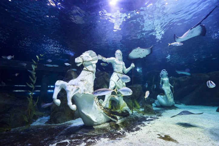 대전_엑스포_아쿠아리움_5_공공3유형.jpg
