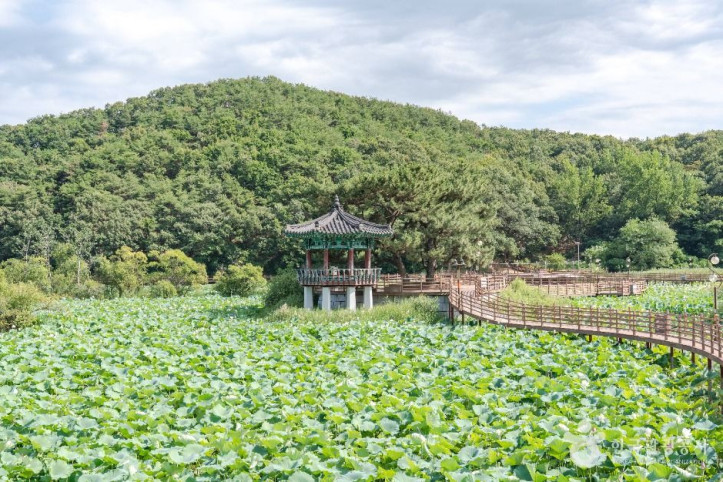 들성생태공원_5_공공1유형.jpg