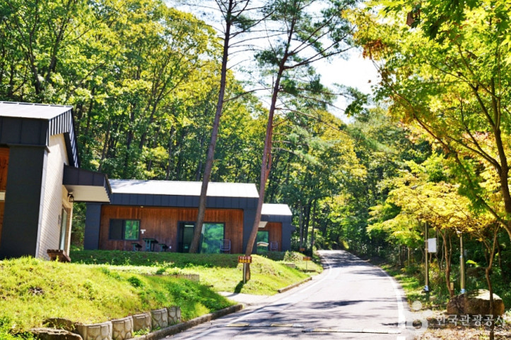국립_대야산자연휴양림_3_공공3유형.JPG