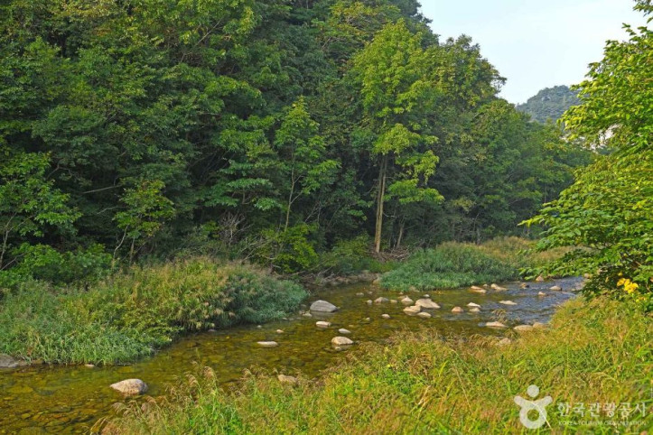 연가리계곡_7_공공3유형.JPG