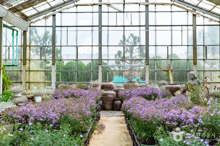 세계꽃식물원_2_공공1유형.jpg