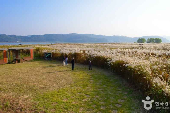 신성리_갈대밭_2_공공1유형.jpg