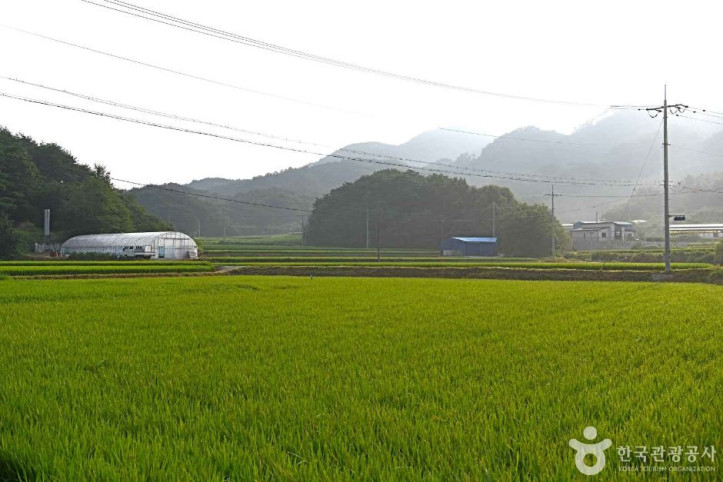 내송마을_2_공공3유형.JPG