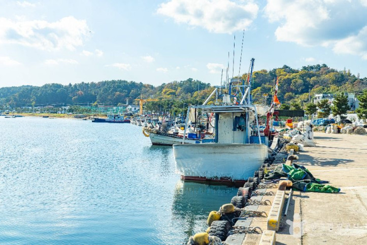 구산항_5_공공1유형.jpg