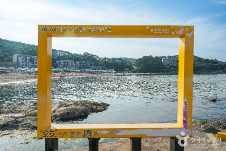 오도1리해수욕장_4_공공1유형.jpg