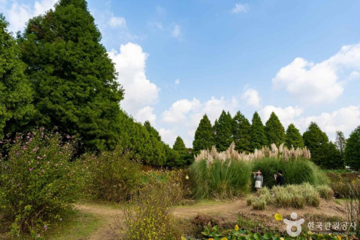 청산수목원_6_공공1유형.jpg