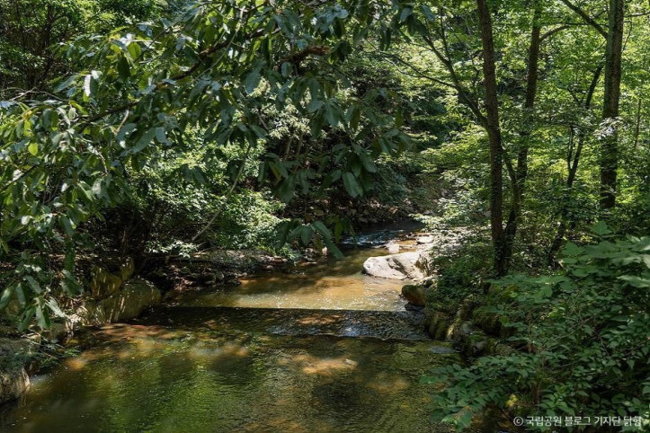 팔공산국립공원(은해사지구)_1_공공3유형.jpg