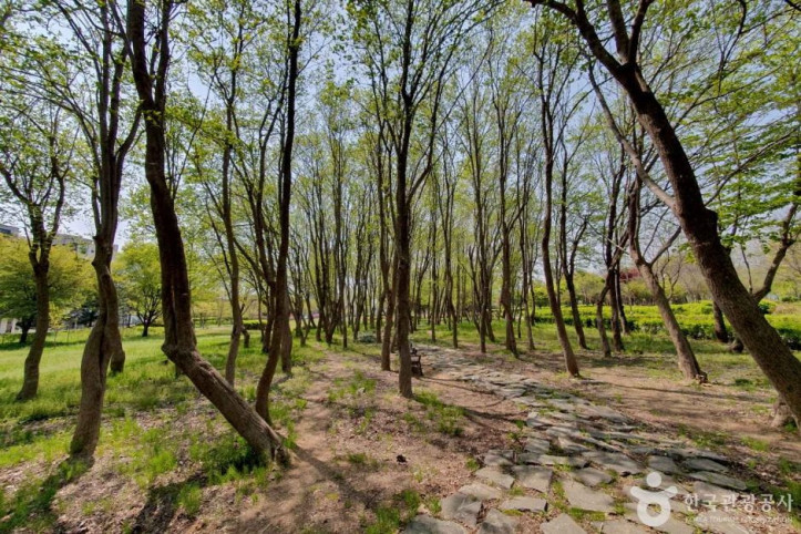 수풀로_양수리_9_공공3유형.jpg
