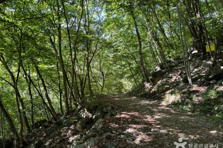철구소계곡_3_공공1유형.jpg
