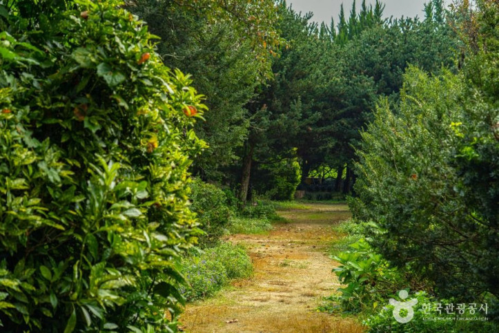 천개의향나무숲_7_공공1유형.jpg