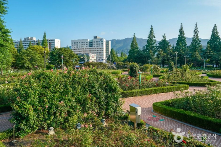 장미공원(창원)_1_공공1유형.jpg