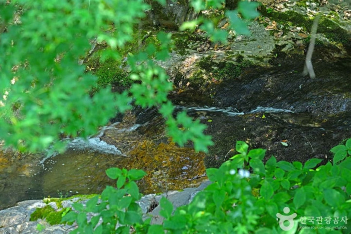 연곡계곡_5_공공3유형.JPG