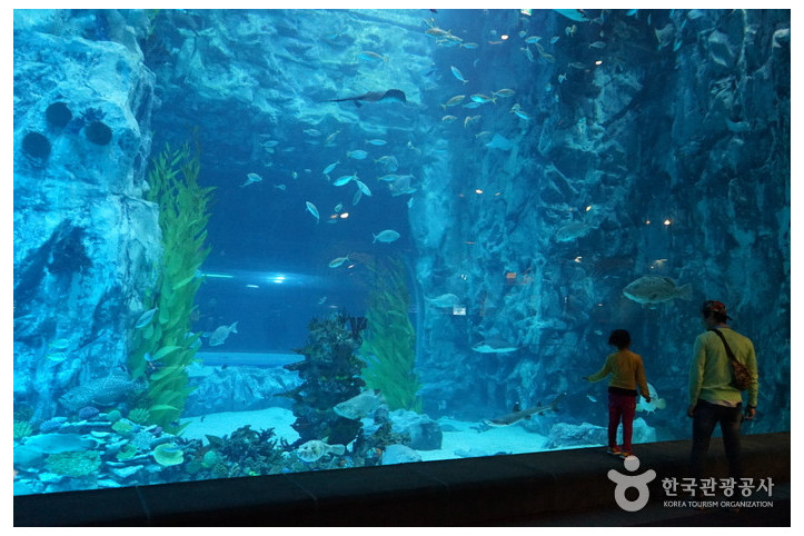 롯데월드_아쿠아리움_1_공공3유형.jpg