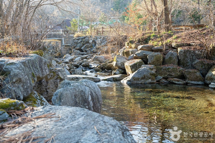 유명산계곡_1_공공3유형.jpg