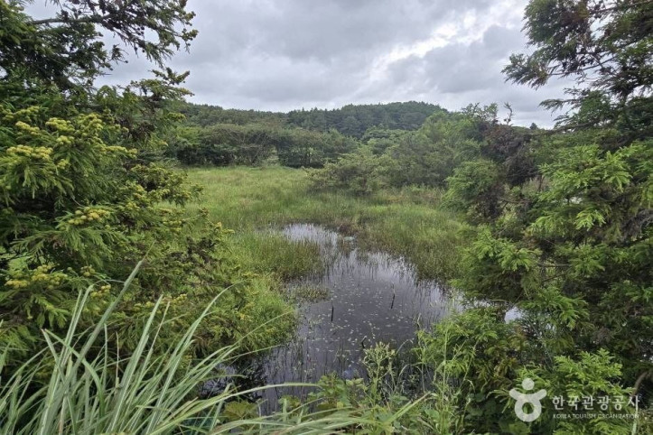 갈마못(갈뫼못)_3_공공3유형.jpg