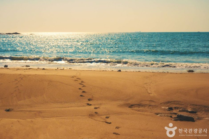 먼동해수욕장_2_공공1유형.jpg