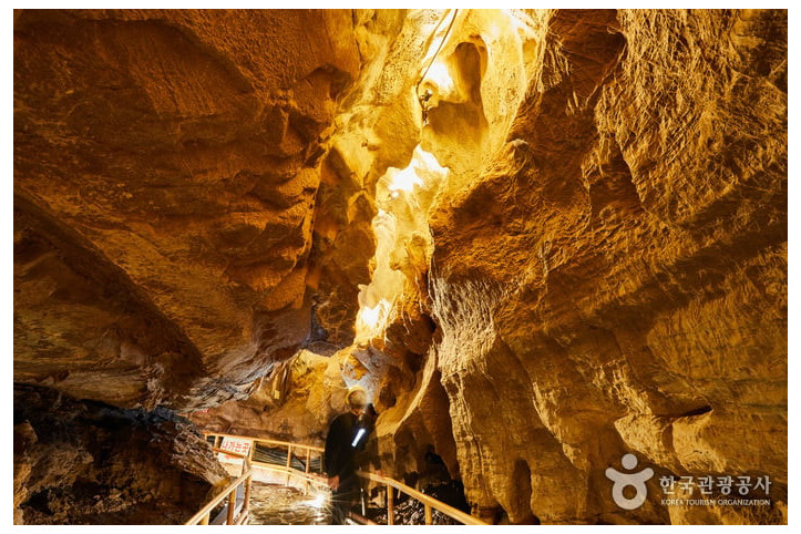 천곡황금박쥐동굴_2_공공3유형.jpg