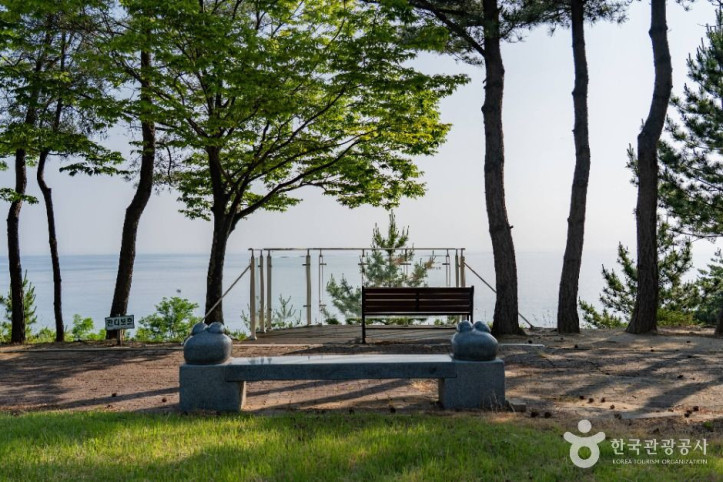 강릉_통일공원_4_공공1유형.jpg
