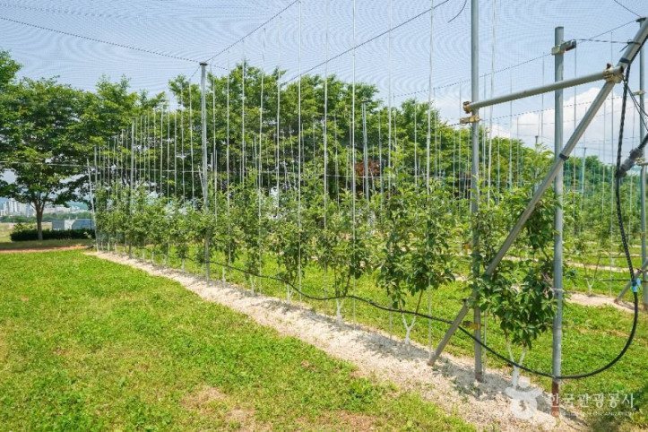 거창사과테마파크_3_공공1유형.JPG