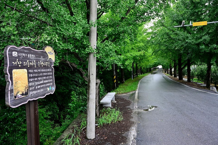 거창은행나무길_4_공공3유형.JPG
