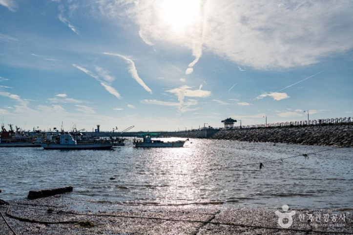 궁평항_3_공공1유형.jpg