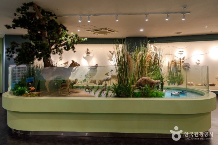 서천군_조류생태전시관_3_공공1유형.jpg