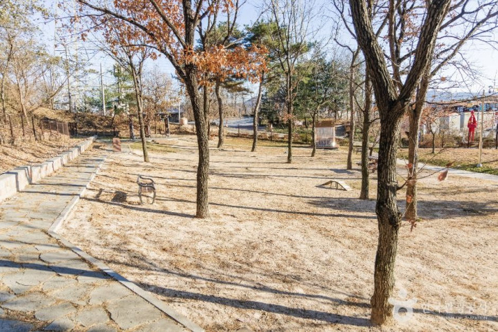 포항댕댕동산_4_공공1유형.jpg