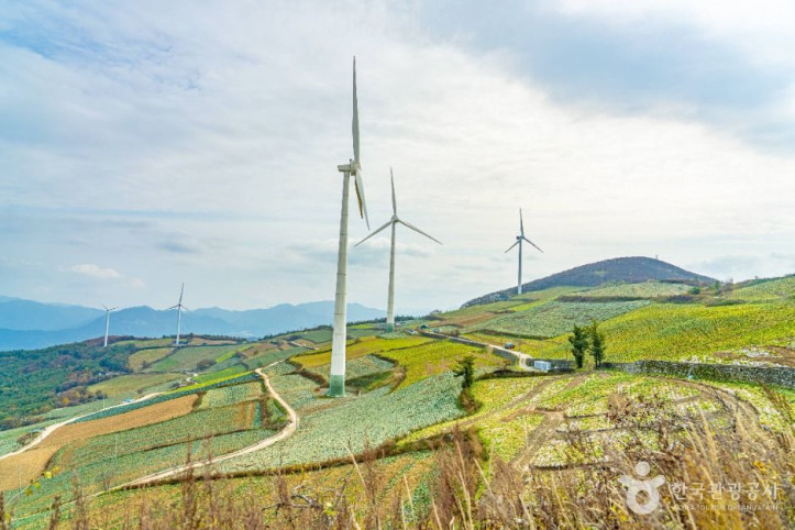 매봉산풍력발전단지(바람의_언덕)_3_공공1유형.jpg