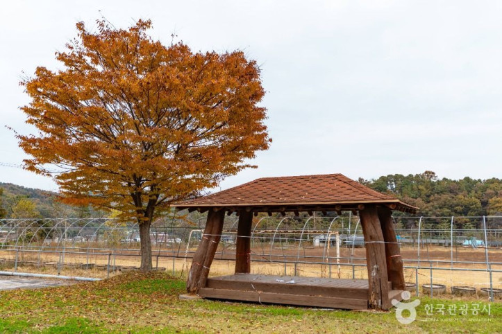 둥구리_농촌체험휴양마을_3_공공1유형.jpg
