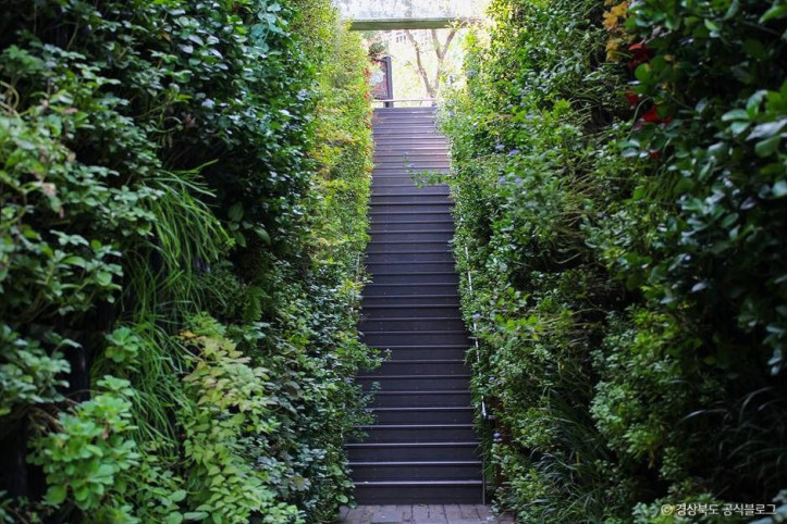 가야산_야생화식물원_5_공공3유형.jpg