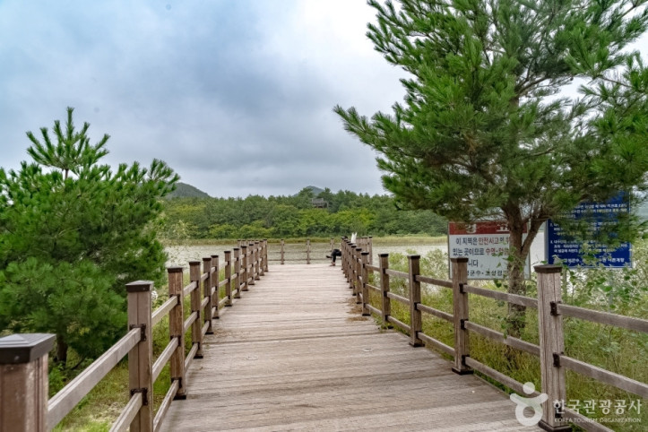 송지호둘레길_6_공공3유형.jpg