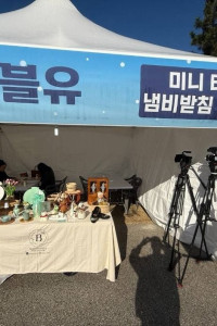 부안 설(雪)숭어 축제