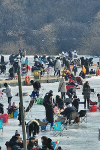 안성 동막골 빙어축제