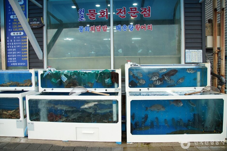 삼척횟집_4_공공3유형.jpg