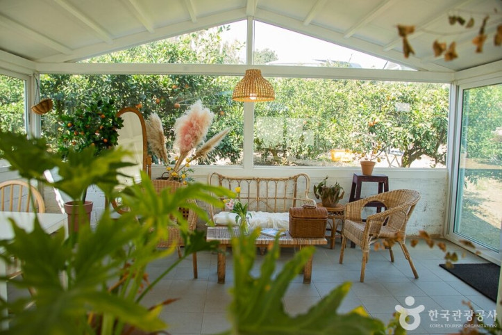 서귀포_제주에인_감귤밭_카페_5_공공3유형.jpg