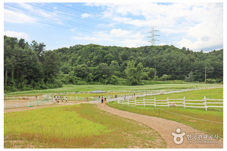 가평양떼목장카페_4_공공3유형.jpg