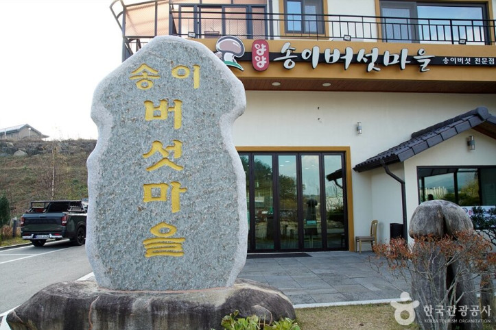 송이버섯마을_3_공공3유형.jpg