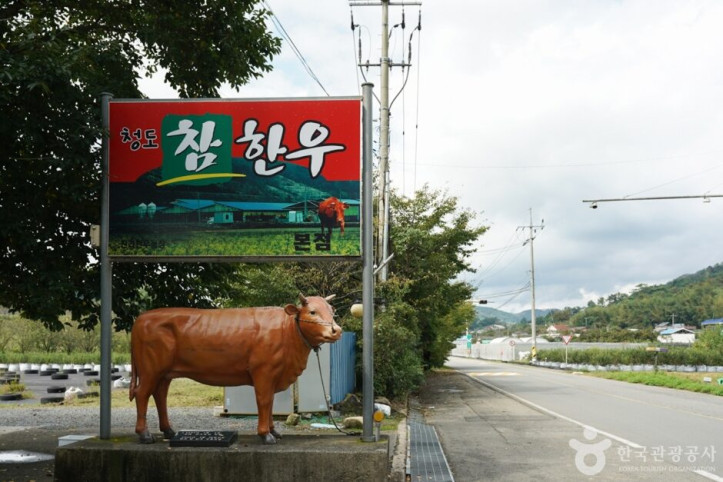 청도참한우식육식당_3_공공3유형.jpg