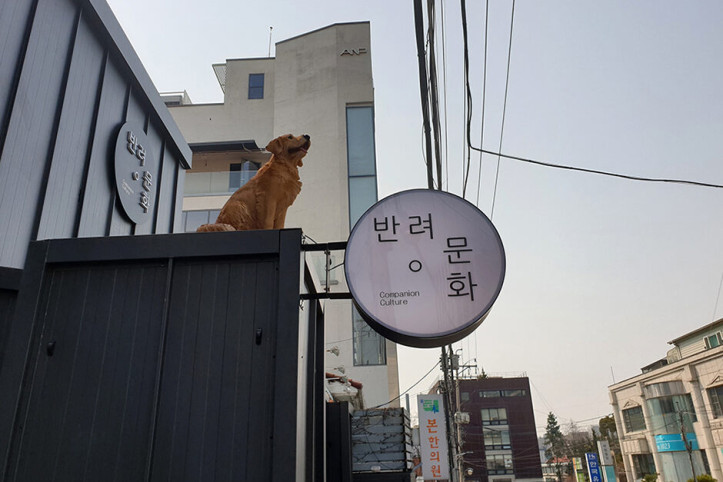 반려문화_3_공공3유형.jpeg