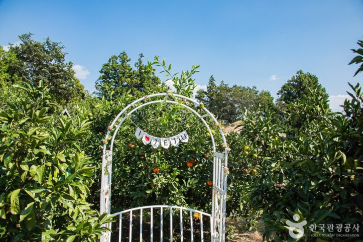 서귀포_제주에인_감귤밭_카페_3_공공3유형.jpg
