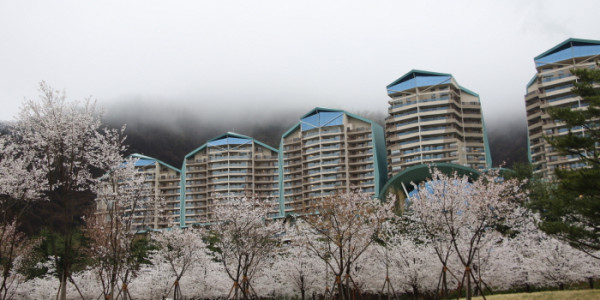 강원도 홍천 여행