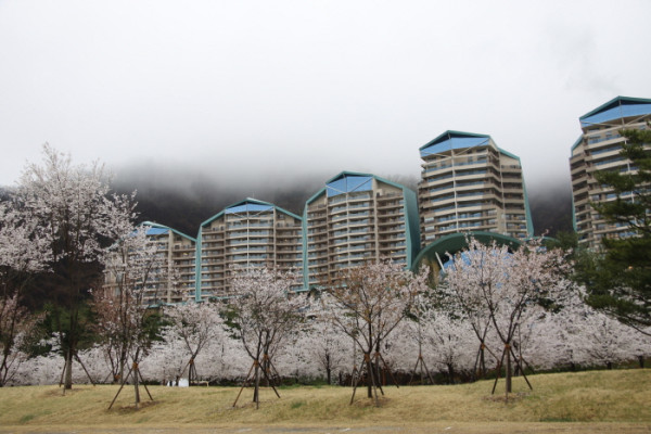 소노벨 비발디파크