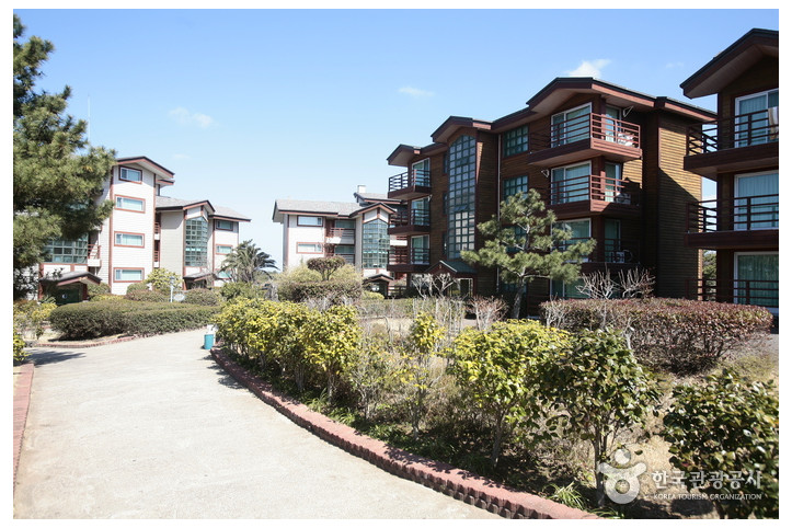 제주_금강산콘도_1_공공3유형.jpg