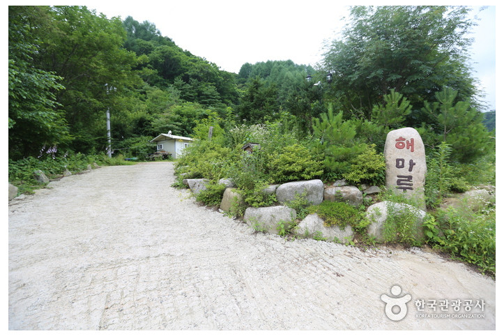 진동너와촌_해마루펜션_2_공공3유형.jpg