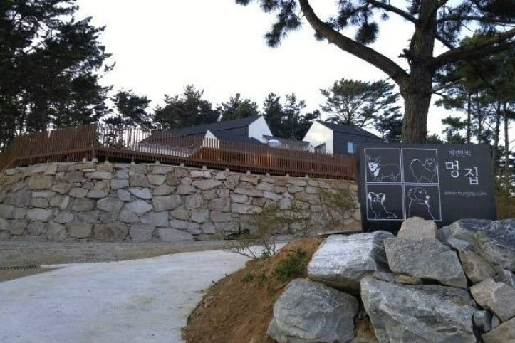 애견민박_멍집_2_공공3유형.jpg