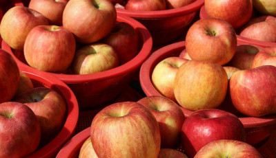 국내산 상품 A급 사과 7kg내외 대과 28-36과